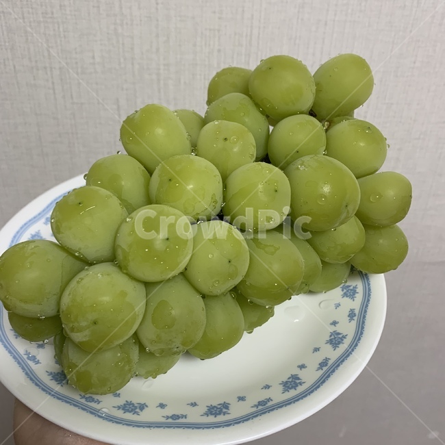 과일,샤인머스캣,포도,청포도,알포도,포도알,채소,후식,디저트,과일디저트,싱싱,음식,식재료,요리,food,cook,meal,dishes,food reserves,과일,열매,fruit