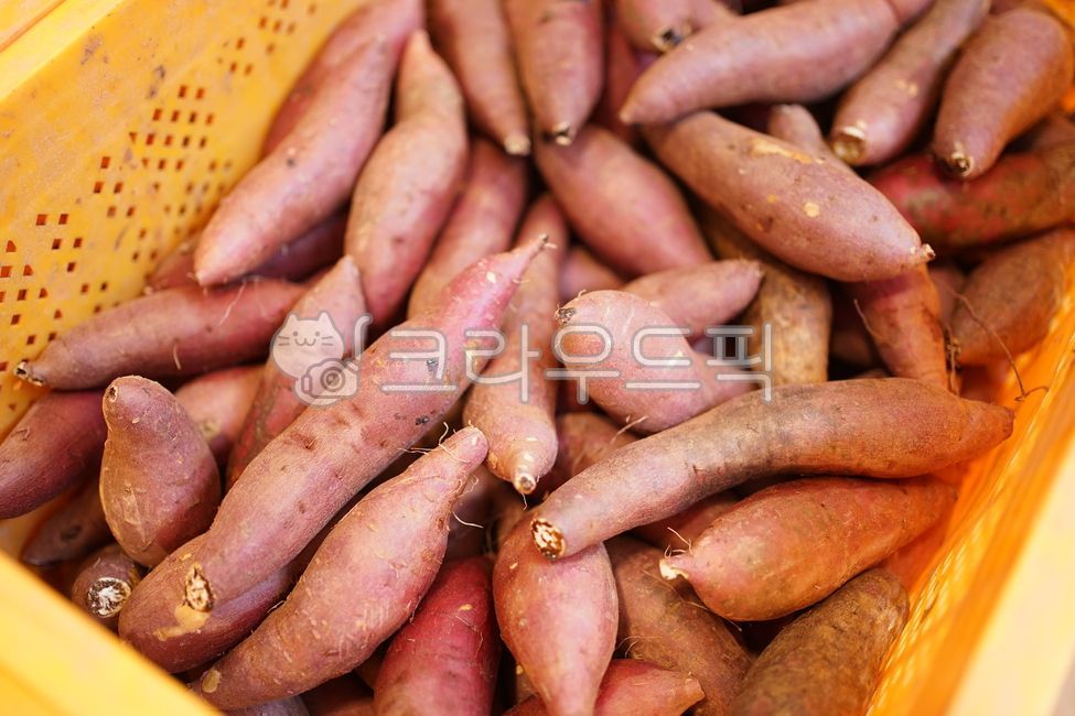 sweet potato,Haenam Sweet Potato,Honey sweet potato,Sweet potato maker,sweetpotato,food,yellow sweet potato
