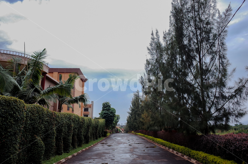 르완다,키갈리,아프리카,비온뒤구름,rwanda,kigali,자연,풍경,nature,landscape,asphalt,아스팔트