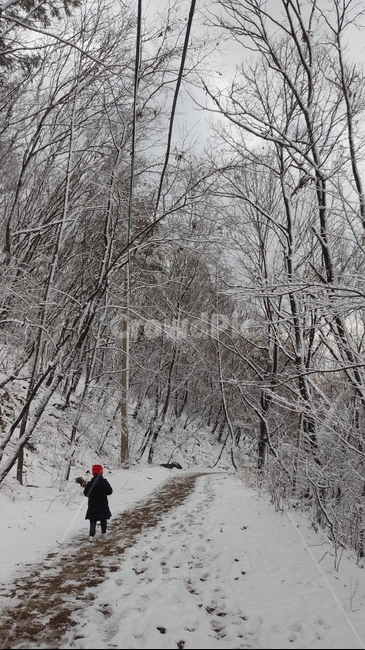 겨울,겨울산,아이,사람,자연,눈,nature,등산,산책