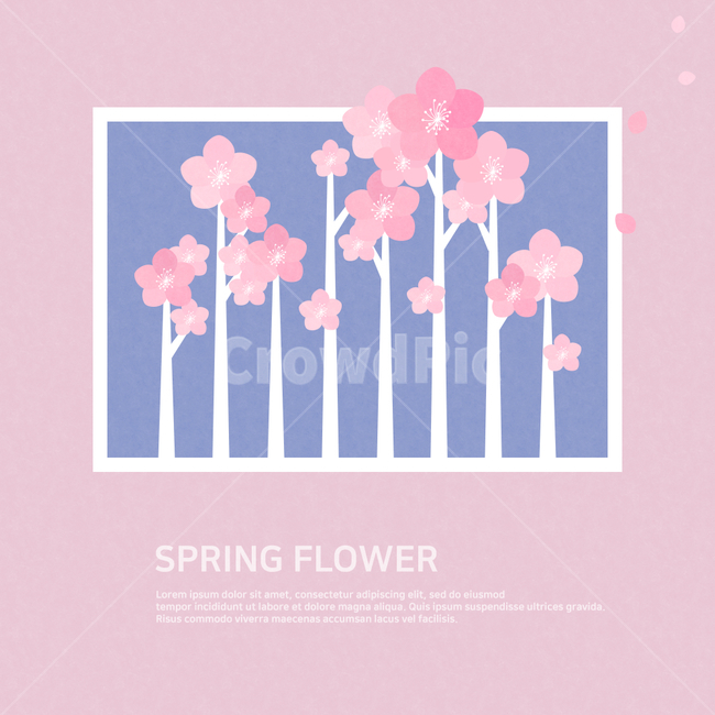 벚꽃,봄,계절,봄꽃,배경,꽃,풍경,따뜻한,꽃잎,프레임,축제,봄,계절,spring,season,그래픽,일러스트레이션,graphic,illustration