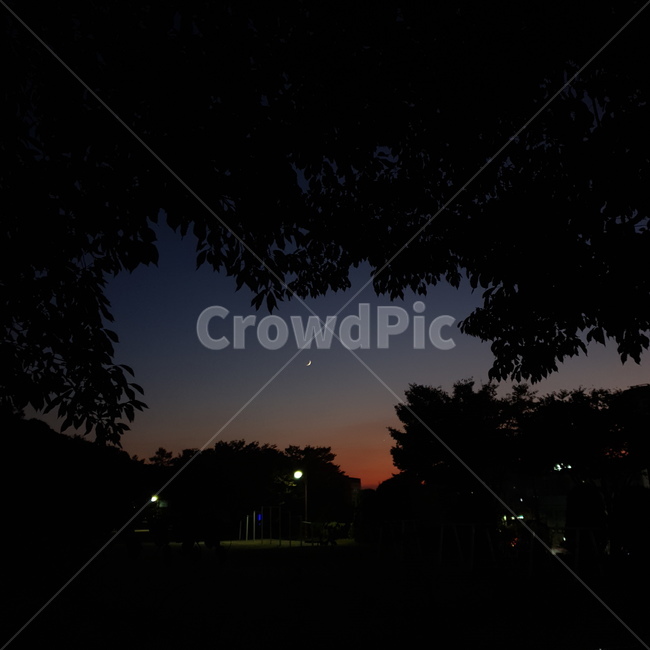 나무,달,저녁하늘,밤하늘,하늘색깔,sky,가을하늘,저녁풍경,야경,밤,풍경,nightscape,night,landscape