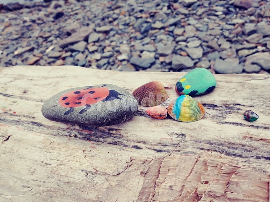 돌멩이,무당벌레,stone,조약돌,돌