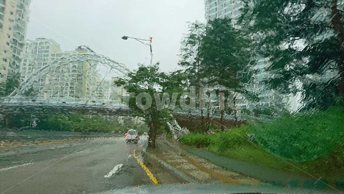 빗물,흐림,비오는날,촉촉한,유리창,도시,풍경,city,landscape,한국도시풍경,한국도시경관,korea cityscape,비,비오는날,rain,rainy,road,도로,asphalt,아스팔트