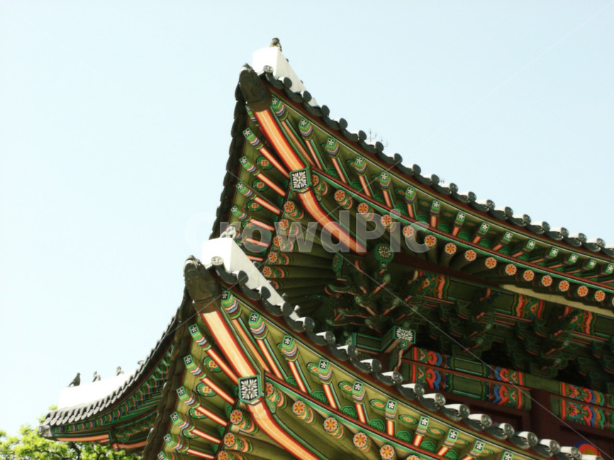 창덕궁,기와,단청,하늘,한국적,전통적,한국전통,한국문화,korean traditional,korean culture,건축물,건물외관,exterior,building,structure,architecture,construction