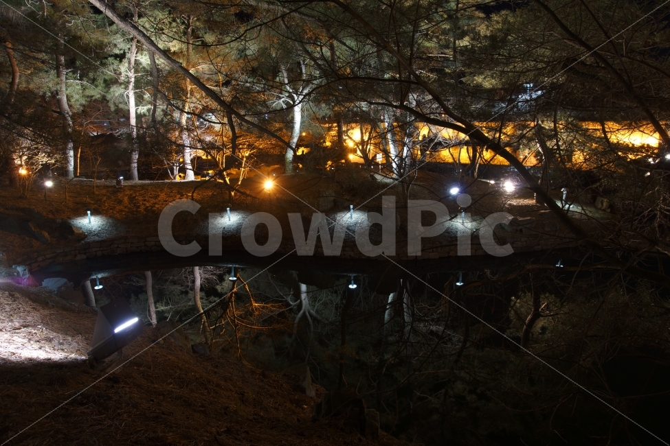 안압지,정원,동궁과월지,경주,경주여행,풍경,거울,빛,야경,조명,숲속,한국전통,한국문화,korean traditional,korean culture,자연,풍경,nature,landscape,야경,밤,nightscape,night,light,flare,플레어