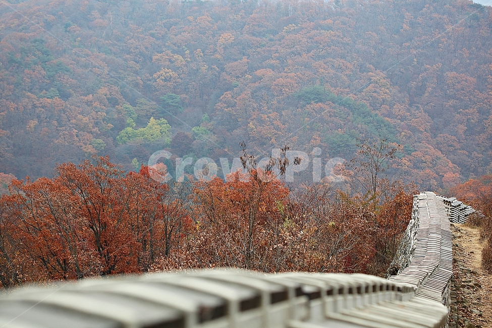 남한산성,성,성곽,단풍,낙엽,길,둘레길,숲,숲길,담,돌담,가을,자연,풍경,벽,울긋불긋,산성,식물,가을,계절,fall,autumn,season