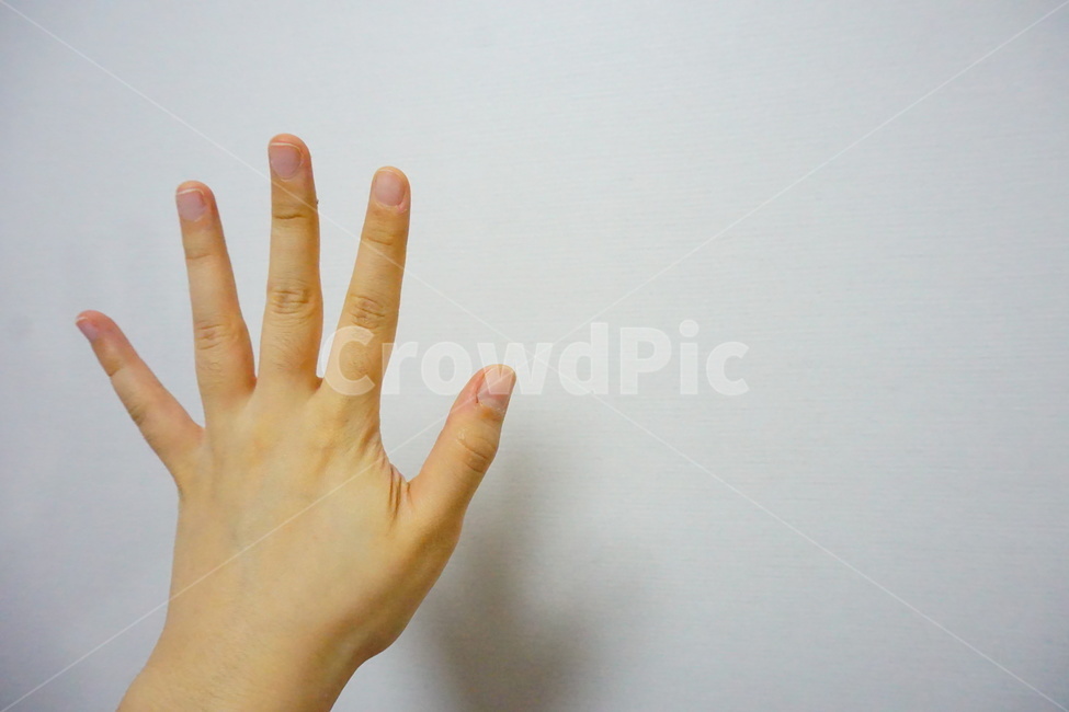 손가락,손바닥,하이파이브,five,finger,fifth,보,hi,사람들,대중,군중,other people,crowd,신체일부,몸,body,손,제스처,표시,손짓,표현,gesture,hand,sign,expression