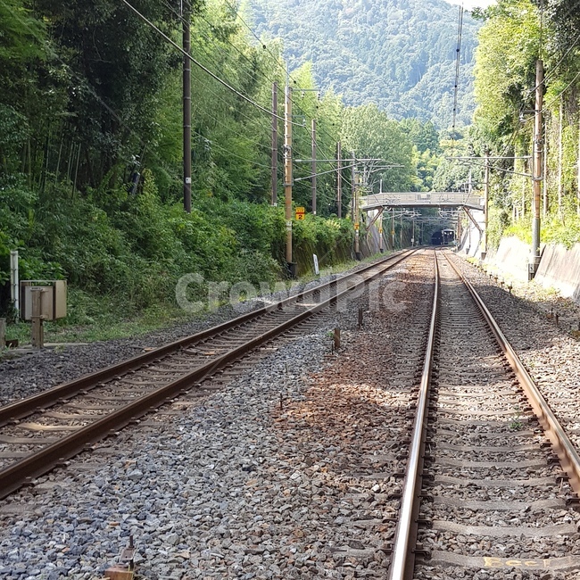 감성,분위기,픙경,철길,햇살,자연,풍경,nature,landscape,transportation,교통,train track,기찻길,rail,레일,railway,철도