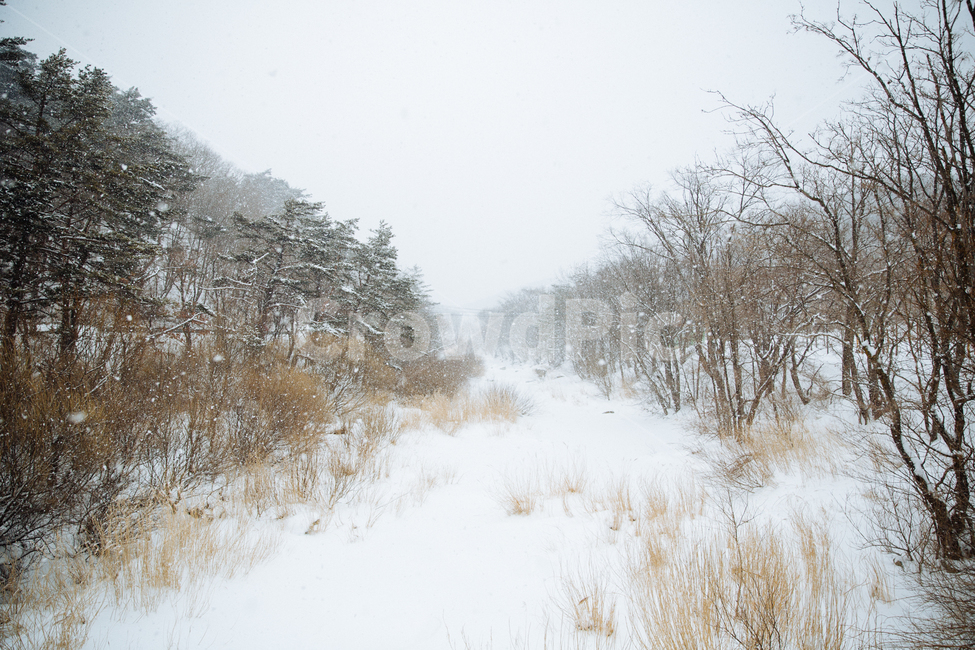 겨울,눈,풍경,감성,스냅,겨울,계절,winter,season,자연,풍경,nature,landscape,outdoors,옥외,snow,storm,폭풍,blizzard,눈보라