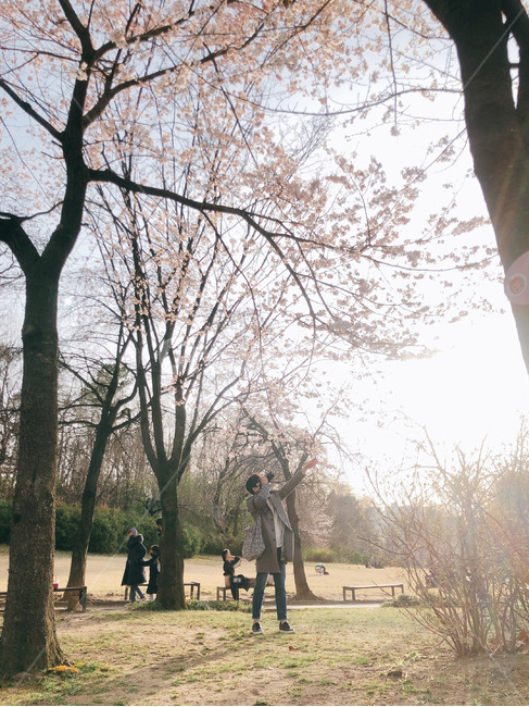 사진,사진작가,사람,인간,tree,나무,person,human