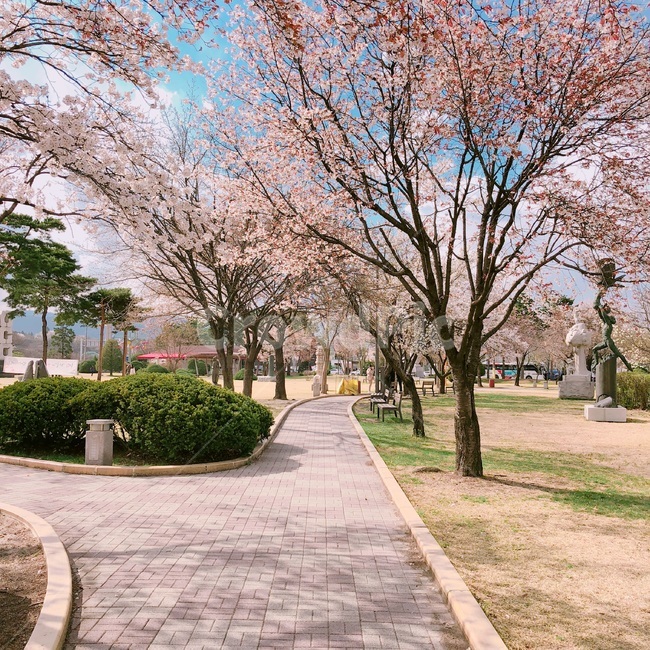 봄,꽃,식물,자연풍경,여름,벛꽃,나무,하늘,봄,계절,spring,season,식물,자연,plants,nature,꽃,flower,나무,trees,wood,plant