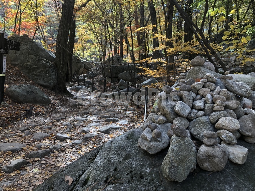 등산,독탑,돌,탑,감성,자연,풍경,nature,landscape,한국자연풍경,한국자연경관,korea nature landscape,rubble,파편,ground,바닥,plant,식물,tree,나무