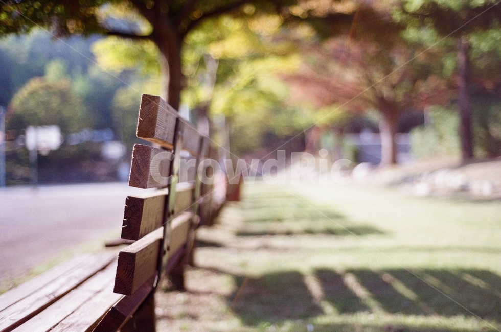 벤치,그림자,식물,햇살,필름카메라,필름,의자,bench,공원,park