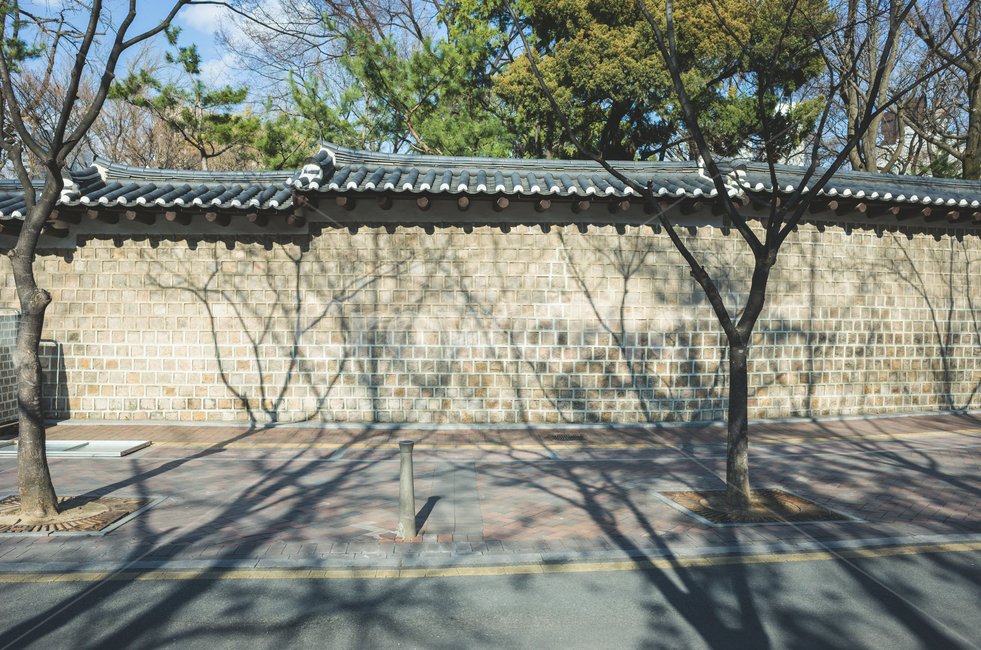 서울,정동길,덕수궁돌담길,덕수궁,봄,계절,4월,꽃,화창한,나무,산책길,도시,풍경,담벼락,감성,서울명소,한국전통,한국문화,한국,한국적,데이트코스,seoul,landscape,season,nature,trees,spring,april,korean,traditional,koreanculture,exterior,building,structure,architecture,한국전통,한국문화,korean traditional,korean culture