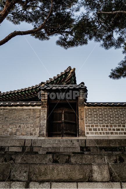 창경궁,한국,전통,건물,문