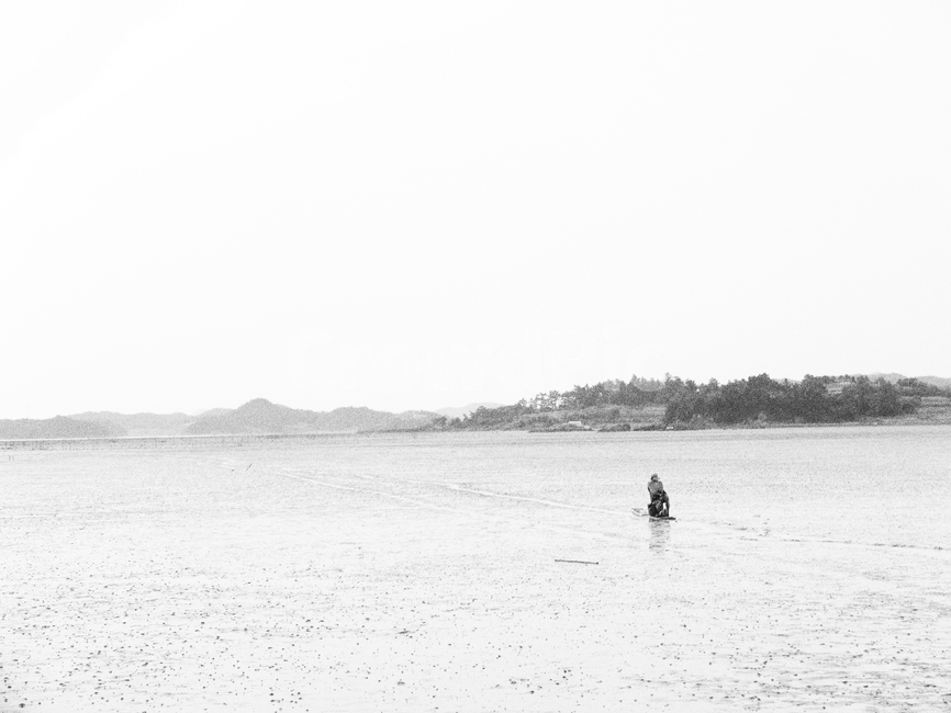 뻘배,갯벌,뻘,간조,어촌,어획,바다,물빠진바다,어업,fishery,fishing industry
