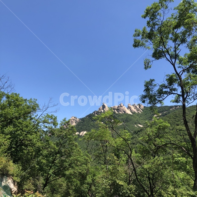 돌산,산,나무,하늘,자연,등산