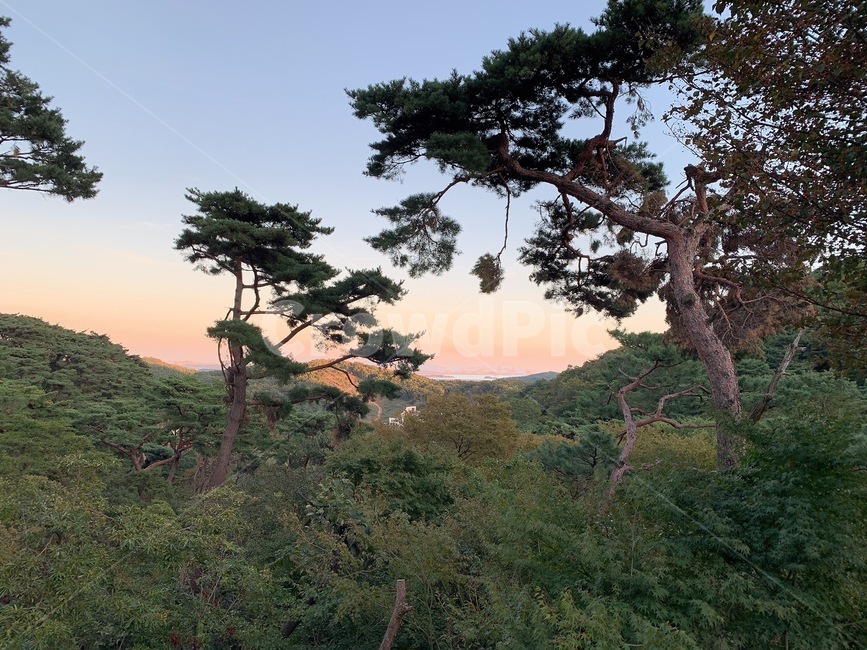 하늘,나무,자연,풍경,석양,자연,풍경,nature,landscape