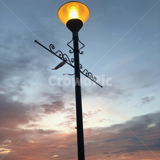 전등,light,노을,sunset,가로등,streetlight,하늘,sky