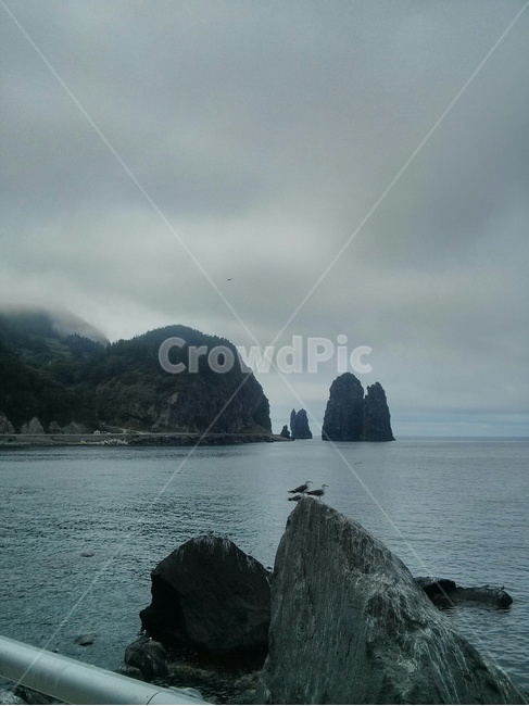 울릉도,여행,갈매기,바다,섬여행,섬,구름,여름,여름휴가,피서,자연,풍경,nature,landscape,한국자연풍경,한국자연경관,korea nature landscape,동물,animal,조류,새,birds,promontory,곶,outdoors,옥외,land,땅,ocean,대양,water,물,sea,shoreline,해안선