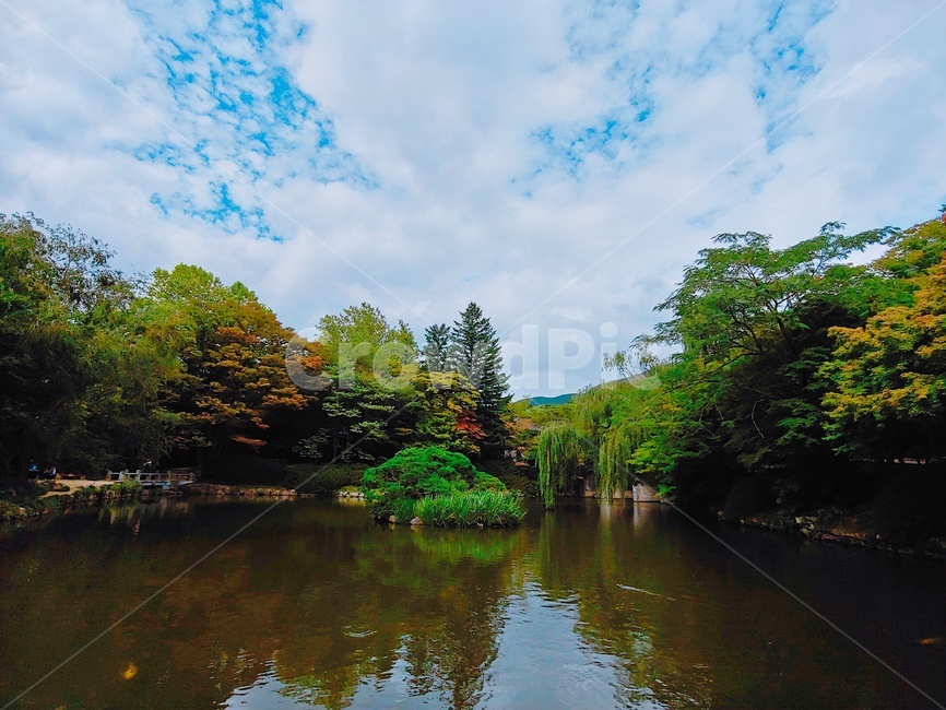 하늘,연못,풍경,가을,맑은하늘,나무,공원,자연,자연,풍경,nature,landscape,water,물,outdoors,옥외