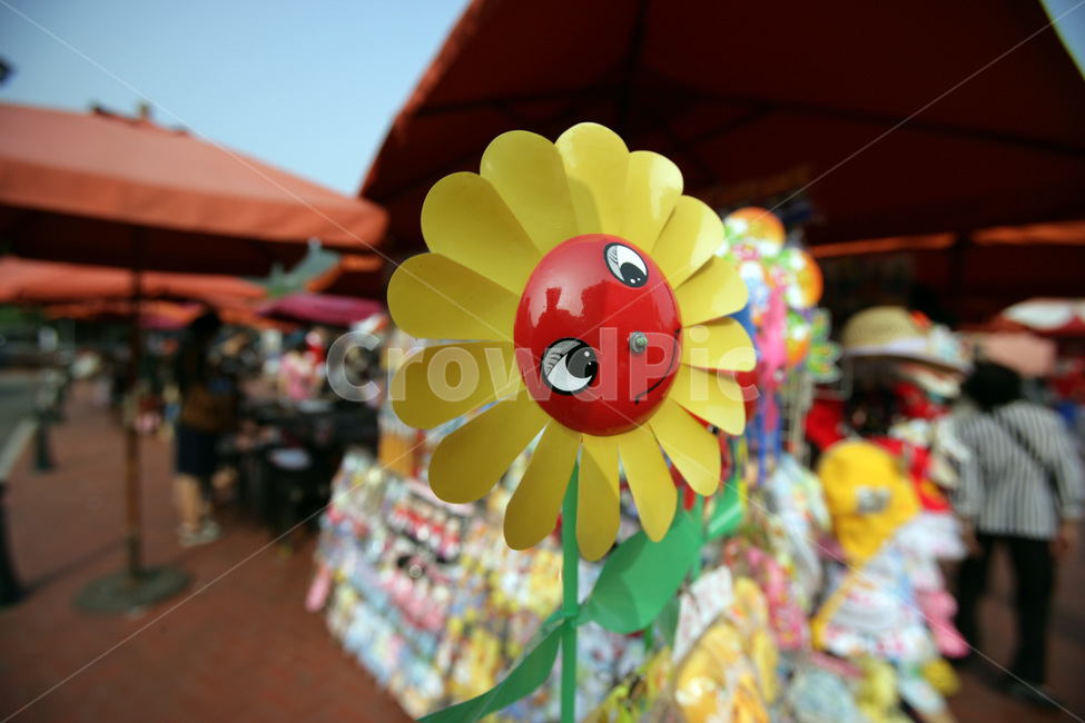 toy,장난감,시장,마카오,macao,해바라기