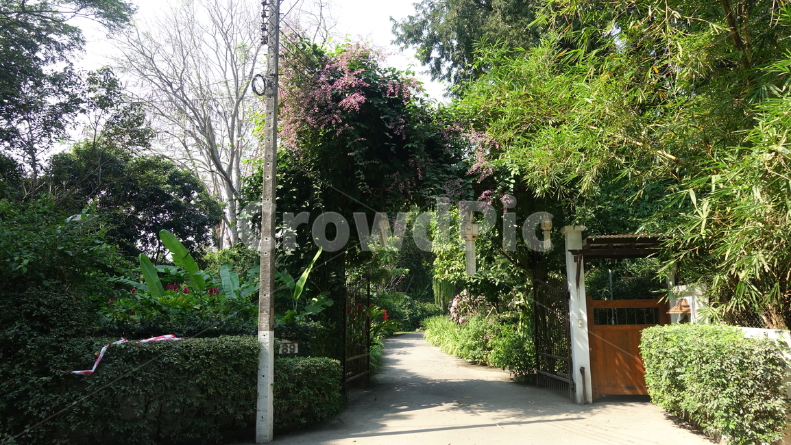 동네,outdoors,옥외,garden,정원