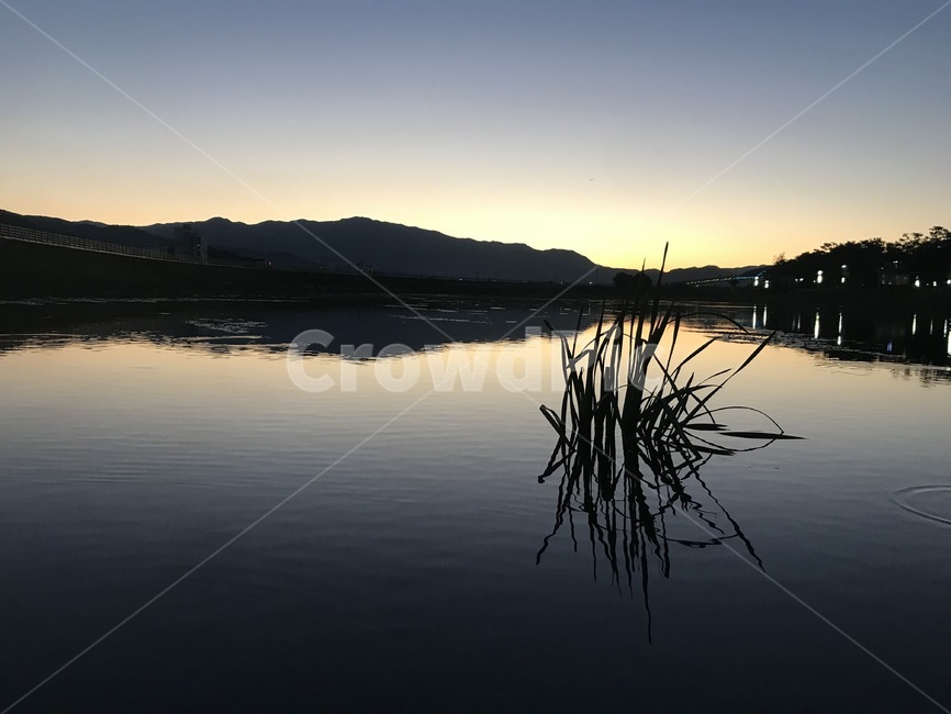 하늘,풍경,노을,물,풀,sky,scenary,sunset,sunrise,water,그림자,plants,자연,풍경,nature,landscape,land,땅,outdoors,옥외,grass,잔디,plant,식물