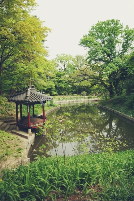 전통,성,창경궁,traditional,한국,대한민국,korea,지붕,기와,roof,궁,castle,곡선,asia,아시아,정자,연못,pond,여름,summer,나무,숲,tree,porest,정원,garden,자연,풍경,nature,landscape,한국자연풍경,한국자연경관,korea nature landscape,한국전통,한국문화,korean traditional,korean culture,랜드마크,landmark,tourist attraction,한국랜드마크,한국관광지,한국명소,korea landmark,korea tourist attraction,water,물,outdoors,옥외