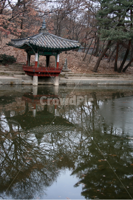 창덕궁,후원,애련정,세계문화유산,문화유산,한국,한국전통,한국문화,korean traditional,korean culture,랜드마크,landmark,tourist attraction,한국랜드마크,한국관광지,한국명소,korea landmark,korea tourist attraction