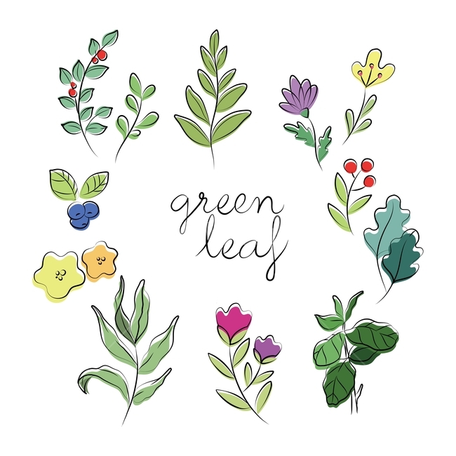잎,자연,꽃,데코,봄,장식,데코레이션,일러스트레이션,일러스트,디자인,열매,leaf,nature,flower,deco,spring,illustration,frame,design,벡터,그래픽,식물,자연,plants,nature,꽃,flower,그래픽,일러스트레이션,graphic,illustration