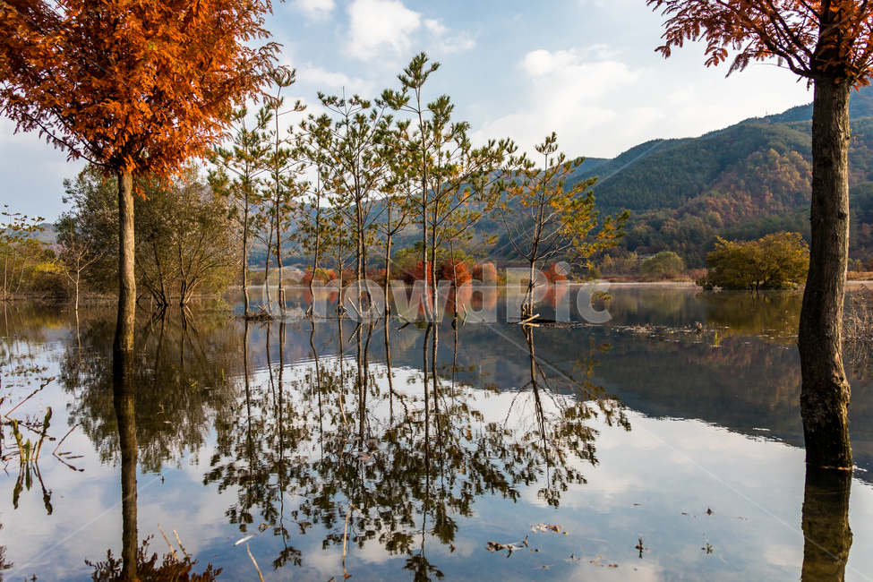 가을풍경,가을,반영,자연,nature,용담호,tree,plant,가을,계절,fall,autumn,season,자연,풍경,nature,landscape,한국자연풍경,한국자연경관,korea nature landscape