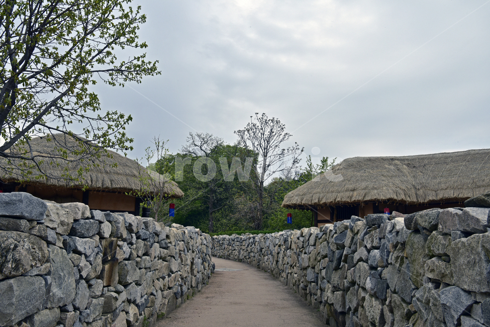초가집,grassroofedhouse,초가지붕,전통한옥,시골집,초가,시골풍경,시골,마을,풍경,landscape,country,rural,town,한국전통,한국문화,korean traditional,korean culture