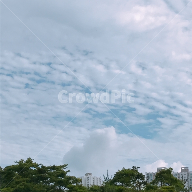 전라남도,여수시,하늘,구름,맑음,스마트폰,아이폰,촬영,사진촬영,구닥,12월,도시,풍경,city,landscape,한국도시풍경,한국도시경관,korea cityscape,nature,자연,outdoors,옥외,weather,날씨,cumulus,적운,sky,cloud