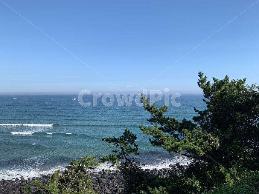 물,바다,나무,푸른바다,sea,outdoors,nature,자연,제주