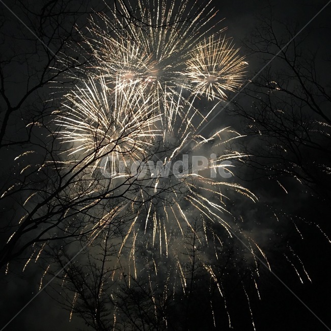 폭죽,불꽃축제,장노출,야경,밤,품경,nightscape,nightland