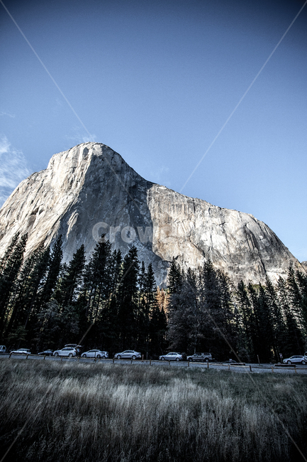 tree,나무,outdoors,nature,자연,mountain,산,미국,캘리포니아,요세미티,바위,usa,california,yosemite,rock,자연,풍경,nature,landscape,해외,외국,세계,foreign,oversea,world,세계자연풍경,해외자연풍경,외국자연풍경,world nature landscape