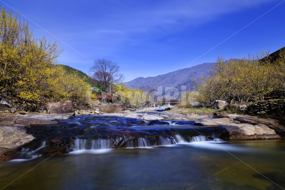 구례,산수유,풍경,봄,자연,nature,물,봄,계절,spring,season,자연,풍경,nature,landscape