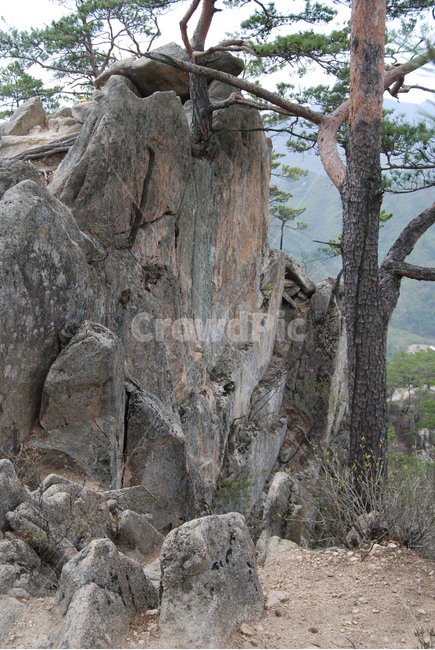 산,바위,나무,자연,봄,자연,풍경,nature,landscape,tree,plant,식물,tree trunk,나무 줄기