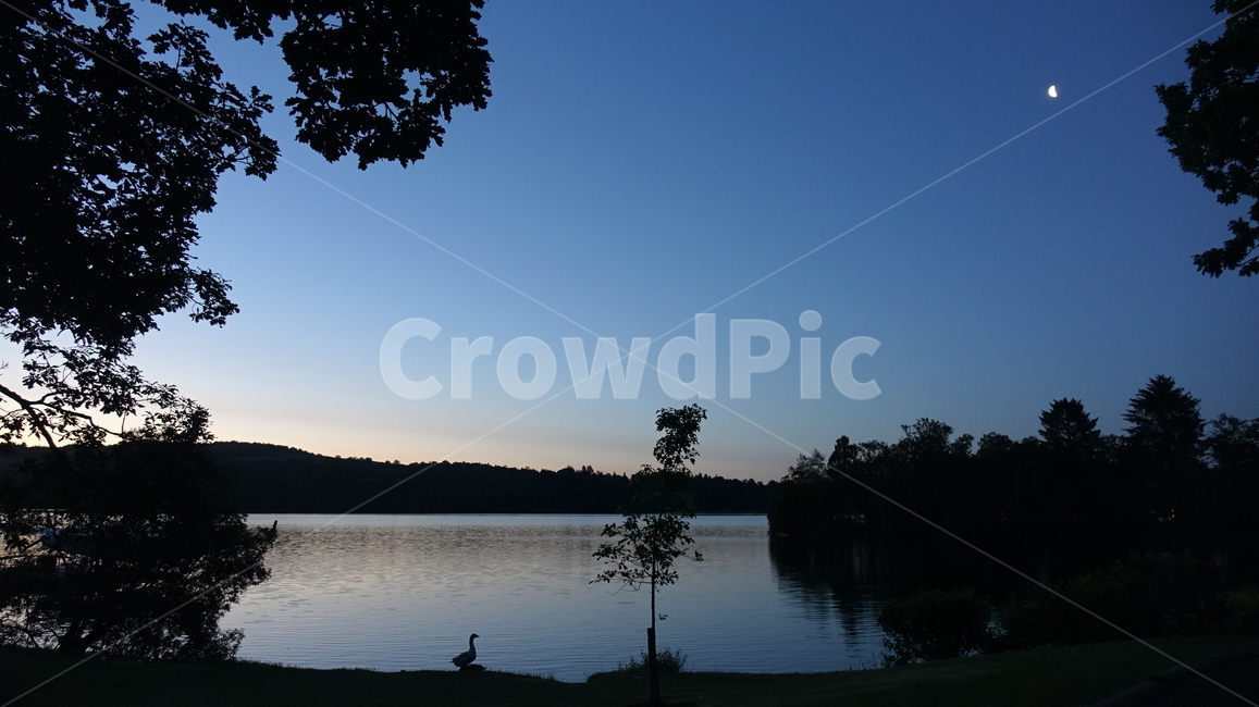 자연,nature,green,초록,호수,lake,water,물,dawn,일출,물가