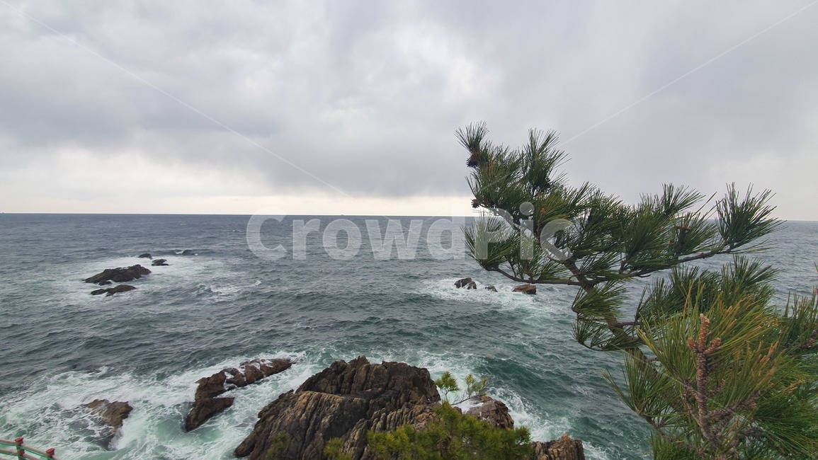 바다,자연,ocean,파도,배경,경치,동해바다,nature
