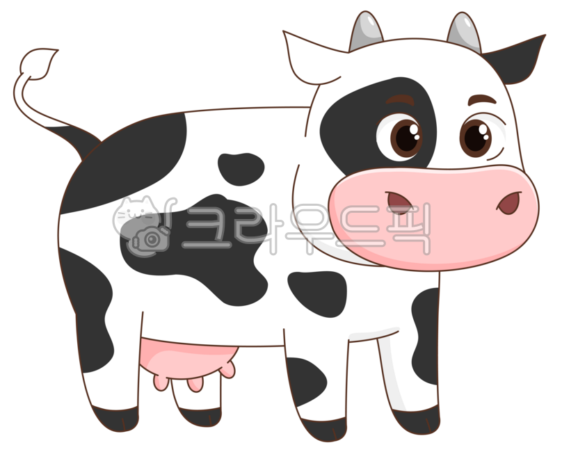 소,젖소,얼룩소,cow,animal,포유류,가축,cattle,mammal,동물,암소,livestock