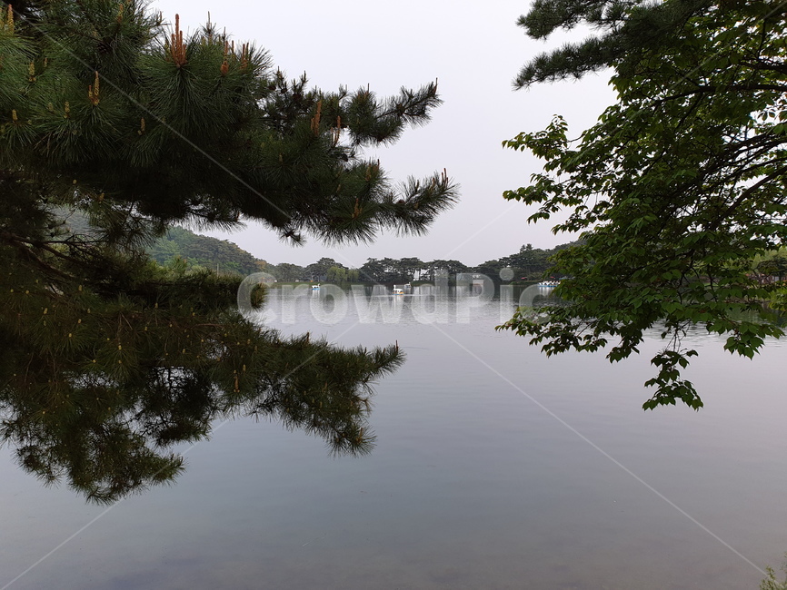 호수,공원,나무,고요,lake,park,tree,silence