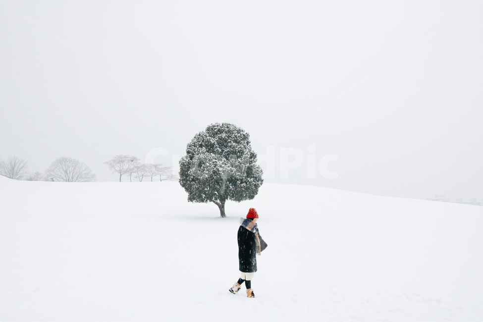 person,사람,human,나무,인간,눈,설경,올림픽공원,나홀로나무,겨울,계절,winter,season,사람,인물,인간,human,person,여성,여자,woman,female,lady