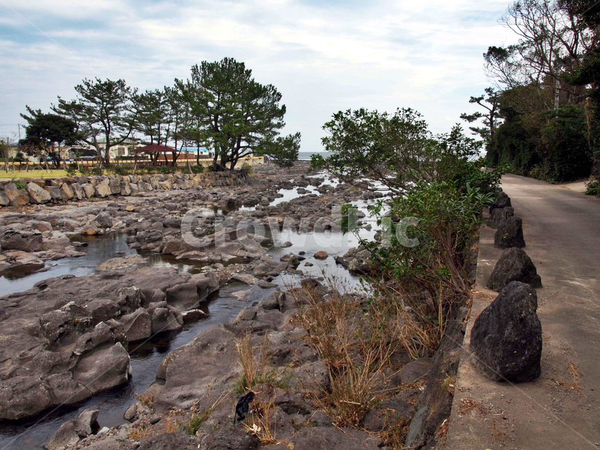 해안길,기암괴석,하천,도로,올레5코스,올레길,제주,서귀포시,자연,풍경,nature,landscape,제주도,jeju,jeju island,ground,바닥