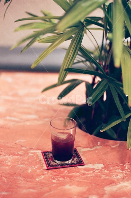 카페,커피,감성사진,빈티지,필름,필름사진,감성,아메리카노,빈티지색감,vintage,cafe,photographer,coffee,sensible,휴식,힐링,rest,relaxation,americano,film,feeling,healing,식물,따뜻한,테이블,커피,카페,coffee,cafe