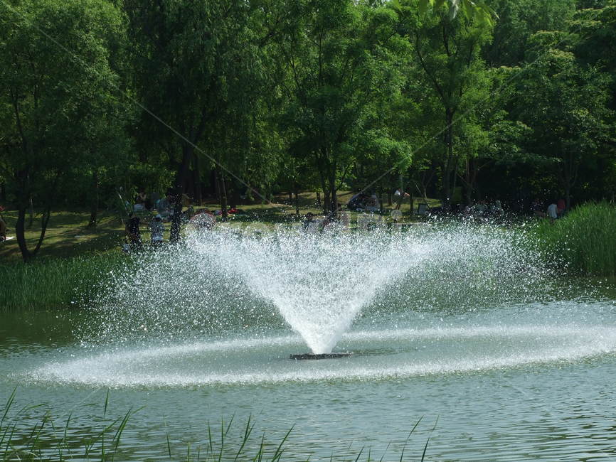 분수,물,분출,시원함,물가,여름,계절,summer,season,water