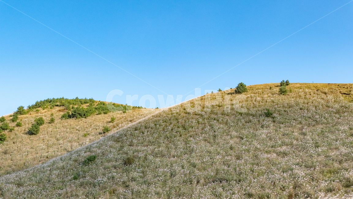 outdoors,옥외,grassland,목초지,field,nature,경사,slope,들,자연,용눈이,용눈이오름,오름,orum,jeju,제주,제주도,제주오름,가을제주,가을,자연,풍경,nature,landscape
