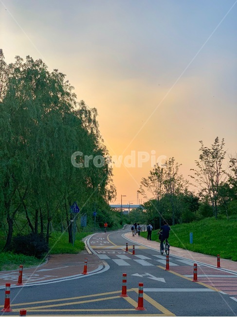 하늘,자연,나무,노을,풍경,한강,road,도로